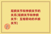 屈腕关节和伸腕关节的关系(屈腕关节和伸腕关节：互相牵动的手腕关节)