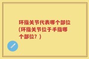 环指关节代表哪个部位(环指关节位于手指哪个部位？)