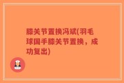 膝关节置换冯斌(羽毛球国手膝关节置换，成功复出)