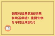 硝基和硫基氨糖(硝基和硫基氨糖：重要生物分子的组成部分)
