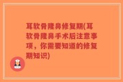 耳软骨隆鼻修复期(耳软骨隆鼻手术后注意事项，你需要知道的修复期知识)