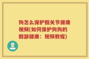 狗怎么保护髋关节健康视频(如何保护狗狗的髋部健康：视频教程)