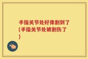 手指关节处好像割到了(手指关节处被割伤了)
