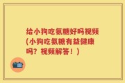 给小狗吃氨糖好吗视频(小狗吃氨糖有益健康吗？视频解答！)