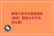 腰椎小关节内侧缘图解(图解：腰椎小关节内缘位置)