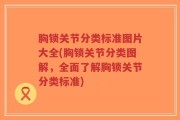 胸锁关节分类标准图片大全(胸锁关节分类图解，全面了解胸锁关节分类标准)