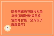 脚外侧踝关节图片大全高清(脚踝外侧关节高清图片合集，全方位了解踝关节)