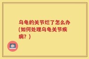 乌龟的关节烂了怎么办(如何处理乌龟关节疾病？)