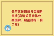 关节素体图解分类图片高清(高清关节素体分类图解，解剖结构一目了然)