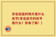 牙齿后面的地方是什么关节(牙齿后方的关节是什么？快来了解！)
