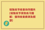 瑜伽关节收束动作图片(瑜伽关节紧致练习图解：强效收束肩颈及髋部)