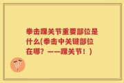 拳击踝关节重要部位是什么(拳击中关键部位在哪？——踝关节！)