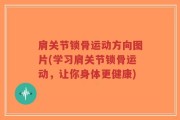 肩关节锁骨运动方向图片(学习肩关节锁骨运动，让你身体更健康)