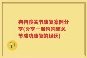 狗狗髋关节康复案例分享(分享一起狗狗髋关节成功康复的经历)