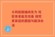 小狗后腿抽动无力 吃软骨素能否改善 探究其背后的原因与解决办法