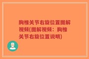 胸椎关节右旋位置图解视频(图解视频：胸椎关节右旋位置说明)