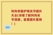 狗狗骨骼护理关节图片大全(详细了解狗狗关节保健，查看图片集锦！)