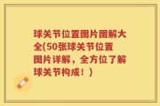 球关节位置图片图解大全(50张球关节位置图片详解，全方位了解球关节构成！)