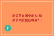 腿关节在哪个地方(腿关节的位置在哪里？)