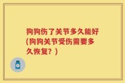 狗狗伤了关节多久能好(狗狗关节受伤需要多久恢复？)
