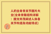人的全身骨关节图片大全(全身骨骼结构详解：图文并茂阐述人体各关节构造及功能特点)