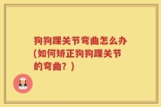 狗狗踝关节弯曲怎么办(如何矫正狗狗踝关节的弯曲？)