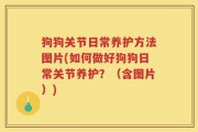 狗狗关节日常养护方法图片(如何做好狗狗日常关节养护？（含图片）)