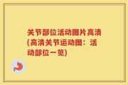 关节部位活动图片高清(高清关节运动图：活动部位一览)