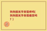狗狗髋关节骨裂疼吗(狗狗髋关节骨裂痛苦吗？)