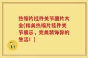 热缩片挂件关节图片大全(精美热缩片挂件关节展示，完美装饰你的生活！)