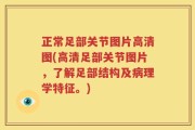 正常足部关节图片高清图(高清足部关节图片，了解足部结构及病理学特征。)