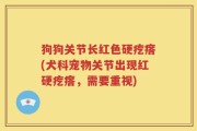 狗狗关节长红色硬疙瘩(犬科宠物关节出现红硬疙瘩，需要重视)