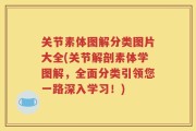 关节素体图解分类图片大全(关节解剖素体学图解，全面分类引领您一路深入学习！)