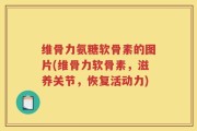 维骨力氨糖软骨素的图片(维骨力软骨素，滋养关节，恢复活动力)