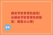 腕关节软骨受伤痊愈(从腕关节软骨受伤到痊愈：康复小心得)