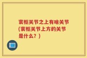 寰枢关节之上有啥关节(寰枢关节上方的关节是什么？)