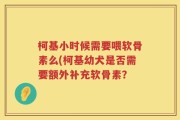 柯基小时候需要喂软骨素么(柯基幼犬是否需要额外补充软骨素？