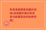 软骨素胶原蛋白图片高清(高清图片展示软骨素与胶原蛋白的协同作用)