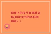 脚掌上的关节有哪些名称(脚掌关节的名称有哪些？)