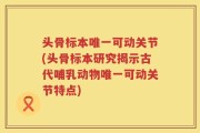 头骨标本唯一可动关节(头骨标本研究揭示古代哺乳动物唯一可动关节特点)