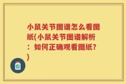 小鼠关节图谱怎么看图纸(小鼠关节图谱解析：如何正确观看图纸？)