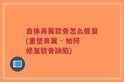 自体鼻翼软骨怎么修复(重塑鼻翼 - 如何修复软骨缺陷)