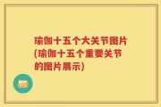 瑜伽十五个大关节图片(瑜伽十五个重要关节的图片展示)