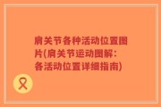 肩关节各种活动位置图片(肩关节运动图解：各活动位置详细指南)