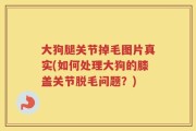大狗腿关节掉毛图片真实(如何处理大狗的膝盖关节脱毛问题？)