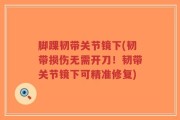 脚踝韧带关节镜下(韧带损伤无需开刀！韧带关节镜下可精准修复)