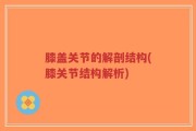 膝盖关节的解剖结构(膝关节结构解析)