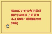 猫咪爪子关节大正常吗图片(猫咪爪子关节大小正常吗？看看图片就知道)