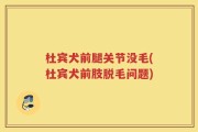 杜宾犬前腿关节没毛(杜宾犬前肢脱毛问题)