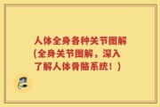 人体全身各种关节图解(全身关节图解，深入了解人体骨骼系统！)